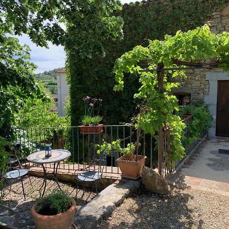 Вілла Le Fleuriste Saint-Sauveur-de-Cruzieres Екстер'єр фото